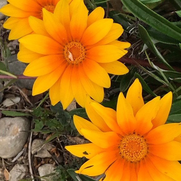 Meet your Posher, Nancy - Picture 8 of 8